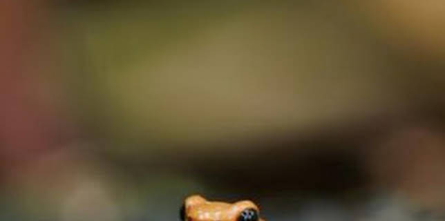 07:30: Supersentidos: Supervista | Aragón TV | 3/7 2026