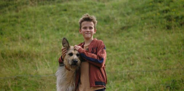 08:25: Racko - Ein Hund für alle Fälle (1) | Das Erste | 1/4 2026