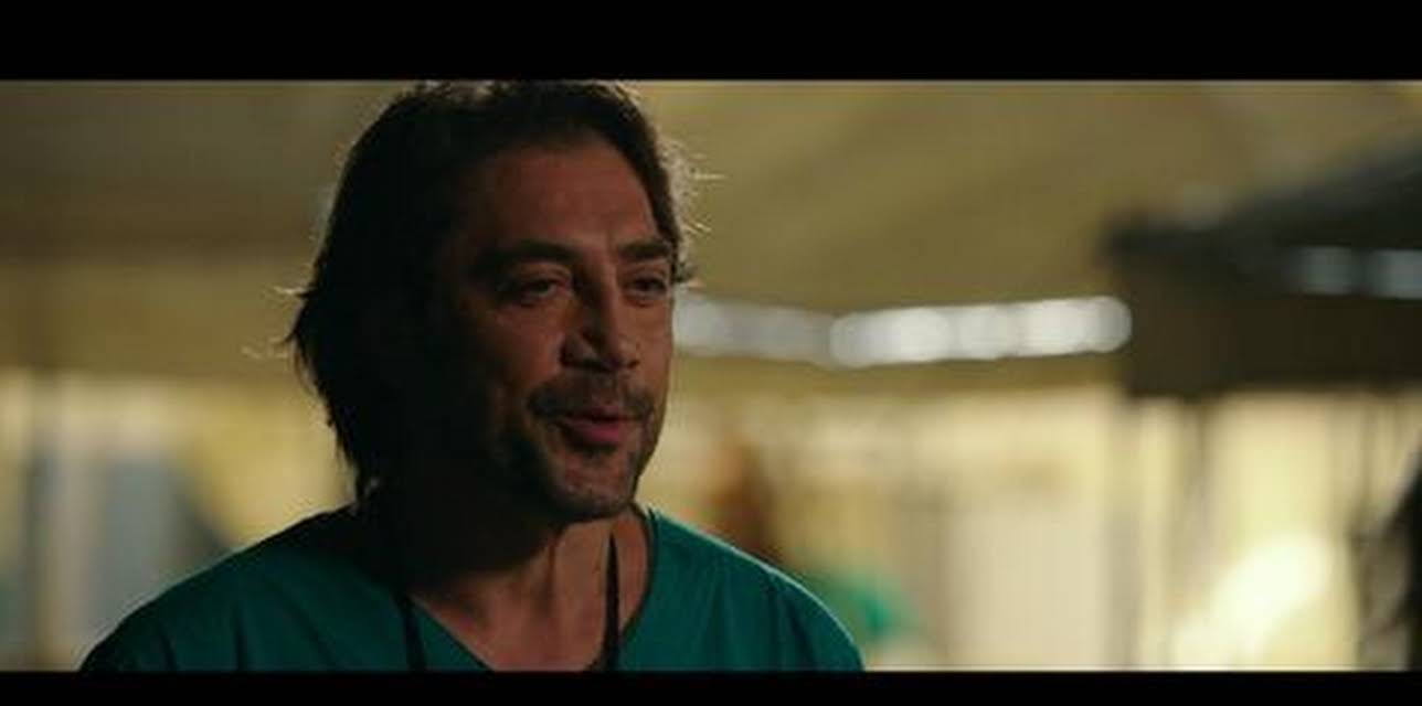 The Last Face (2017)
