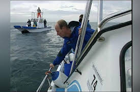 Shark Week: 20th Anniversary Collection: Air Jaws II: Even Higher