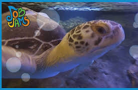 Job Jams: Scuba Diver