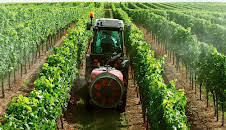 Biowein - Alles reine Natur?