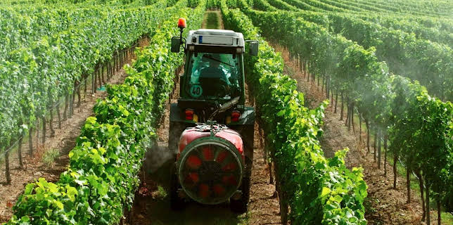 21:50: Biowein - Alles reine Natur? | Arte | 2/16 2026