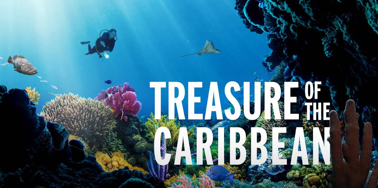Treasure of the Caribbean (2023)