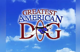 Greatest American Dog Season 1: The Big Dig