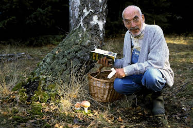 08:15: Löwenzahn Classics | ZDFneo | 4/17 2026