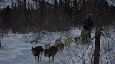10:00 PM: Alaska: The Next Generation | Nat Geo Wild | 4/2 2026