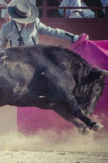 17:00: Toros | Castilla la Mancha TV | 3/28 2026