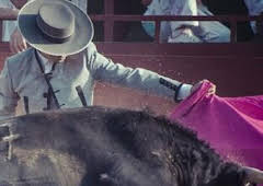 Toros: Desde Pozoblanco