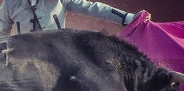 18:00: Toros: Desde Villaluenga del Rosario | Canal Sur Andalucía | 3/1 2026