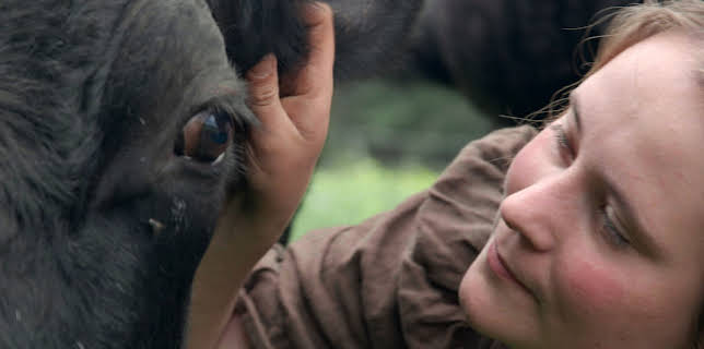 23:05: DocuMe – Rosina. Ein Leben mit Tieren | 3SAT | 2/23 2026