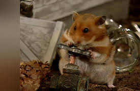 Once Upon A Hamster Season 1: Garage Sale