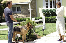 Desperate Housewives: Episode 2