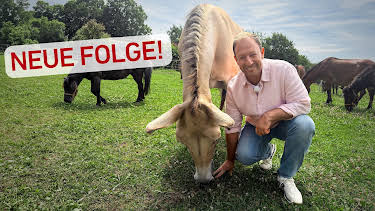 17:30: Tobis Urlaubstrip: Nordhessen | ARD Alpha | 8/26 2026