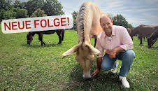 Tobis Urlaubstrip: Nordhessen