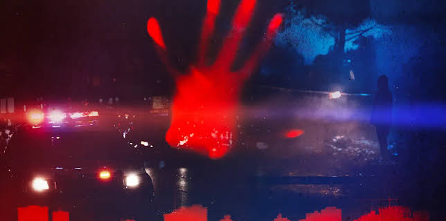 Detectives: My Killer Case