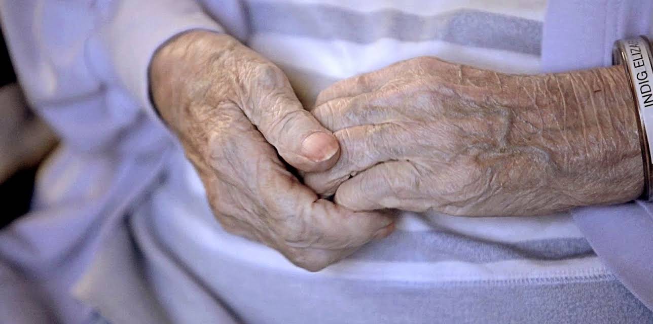 The Guardians (2018)