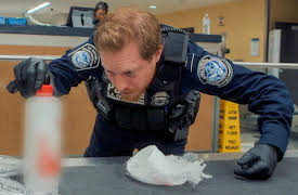 Contraband: Seized at the Airport: Going Nowhere Fast