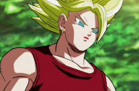 Dragon Ball Super: Season 9: Intimidating Passion! The Birth of a New Super Warrior!!