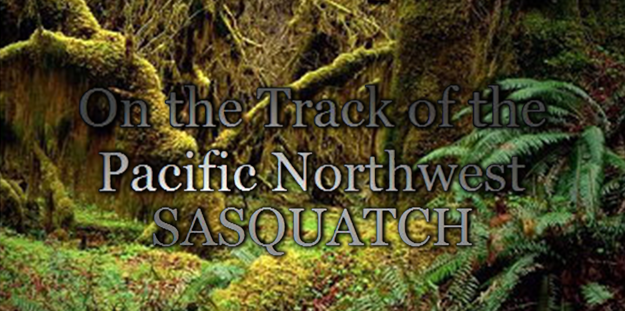 On the Track of the Pacific Northwest Sasquatch (2007)