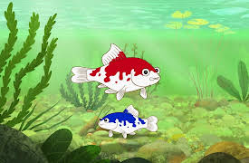 I'm a Fish: I'm a Koi