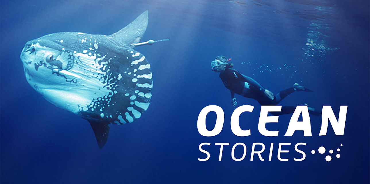 Ocean Stories
