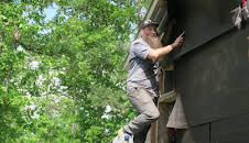 Homestead Rescue