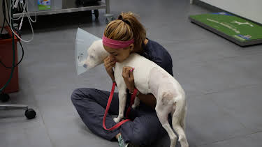 04:00: The Vet Life (S3 E10) (S3) | Animal Planet | 12/30 2025