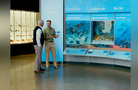 Beyond Is Genesis History?: Overview of the Rocks & Fossils : Museum