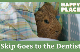 Happy Place: Skip Goes to the Dentist