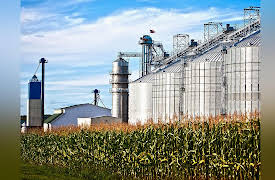 The Science of Energy: Resources and Power Explained: Biofuels: Biodiesel and Ethanol