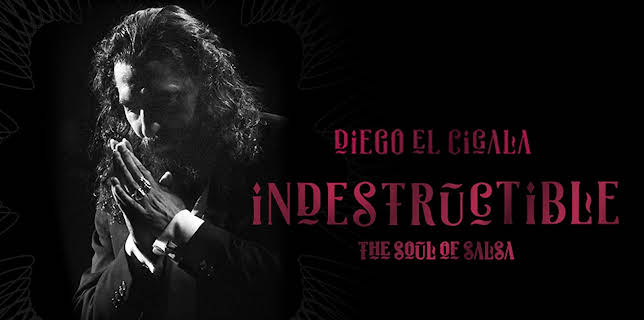 Indestructible: The Soul of Salsa (2018)