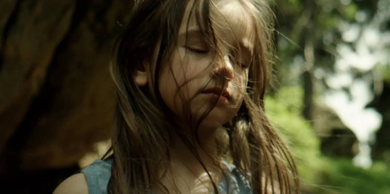 Tower. A Bright Day (2023)