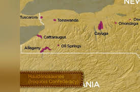 Native Peoples of North America: American Indians and World War II