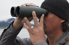 The Tracker's Diary: Bears of Katmai: Neighbors, Old and New