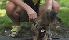 Praxis Dr. Dreesen - Ein Hof für Tiere