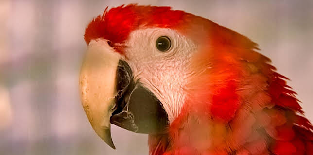 14:25: Elefant, Tiger & Co. (202) | MDR Fernsehen | 11/25 2025