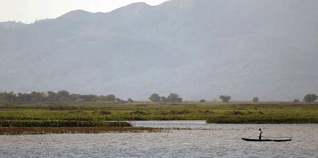 05:29: Medizin in fernen Ländern | Arte | 12/2 2025
