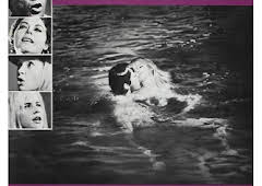 La noche de la iguana