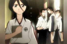 Bleach: (English Dubbed) The Substitute Season 1: Bleach 8