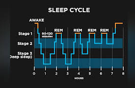 The Scientific Guide to Health and Happiness: Sleep: Getting a Happy Night’s Rest