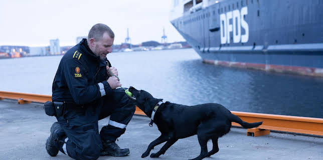 16:25: Toll | TV 2 | 11/17 2025