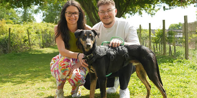 7:55 PM: The Dog House | More 4 | 11/12 2025