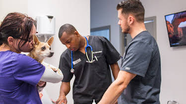 13:05: The Vet Life (S2 E12) (S2) | Animal Planet | 5/28 2026