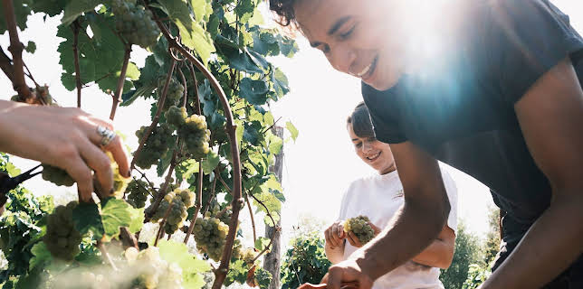 11:45: Kochstories: Der kolumbianische Traum von Riesling | 3SAT | 3/11 2026