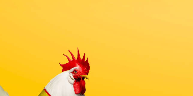 Chicken People (2016)