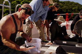 Treasure Quest Snake Island Season 1: Snake Island: Into the Nightmare