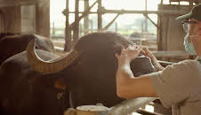 Documental  La Italia Que Gusta