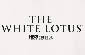 This is the cast of The White Lotus for its third season.