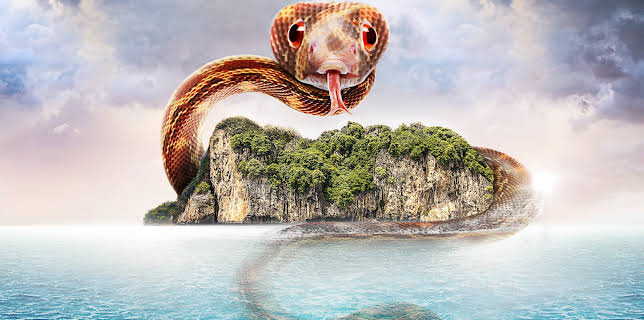 4:00 AM: Swamp Loggers (S1 E20) (S1) | Discovery Turbo | 11/2 2025